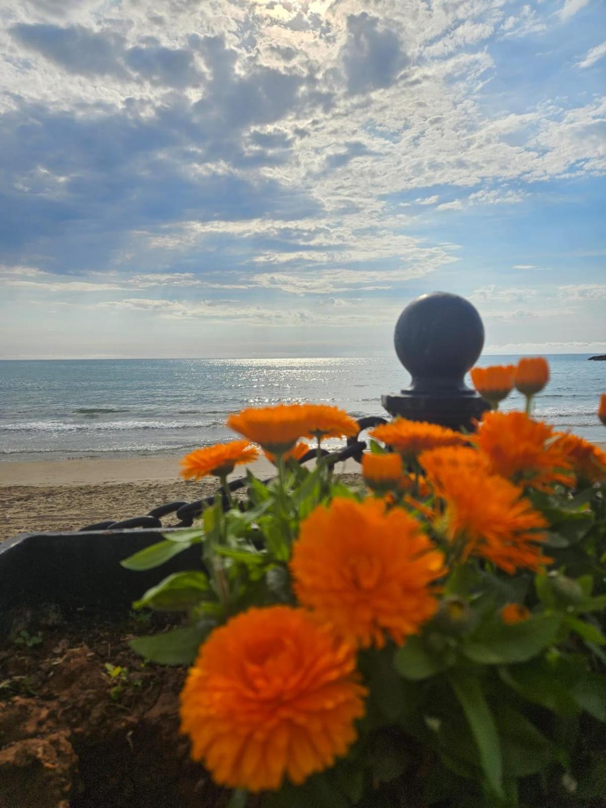 Mondrian Magic World - Sea View First Line Of The Beach Оропеса-дель-Мар Екстер'єр фото