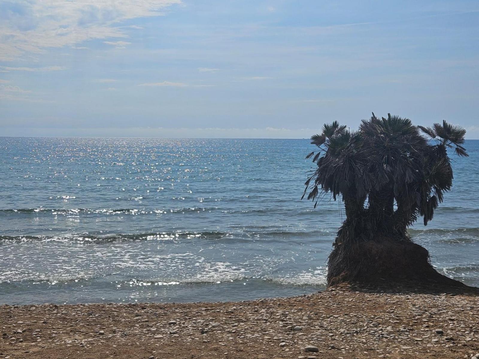 Mondrian Magic World - Sea View First Line Of The Beach Оропеса-дель-Мар Екстер'єр фото